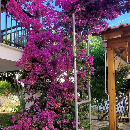 Apartamento Nikolaos House *