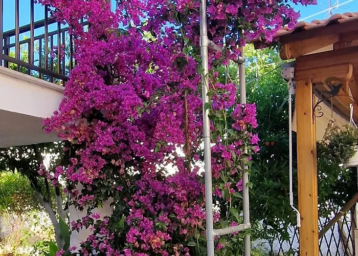 Apartmán Nikolaos House *