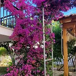 아파트 Nikolaos House *