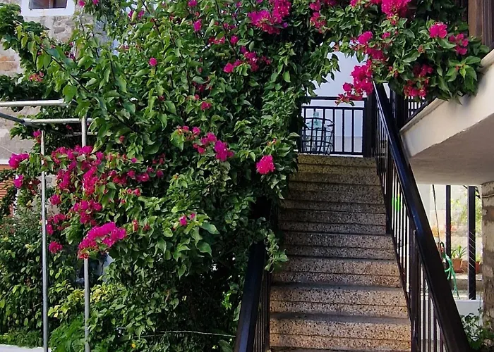 Apartment Nikolaos House Agios Nikolaos (Chalkidiki)